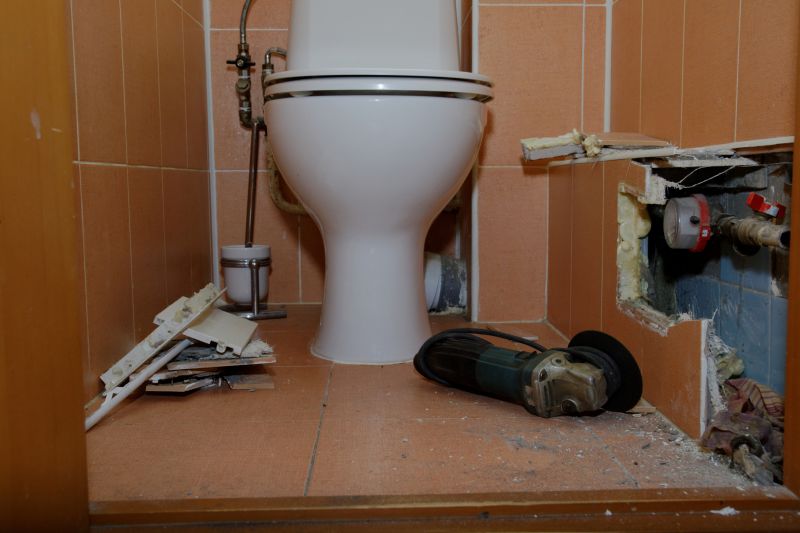 Commercial Toilet Repair detail