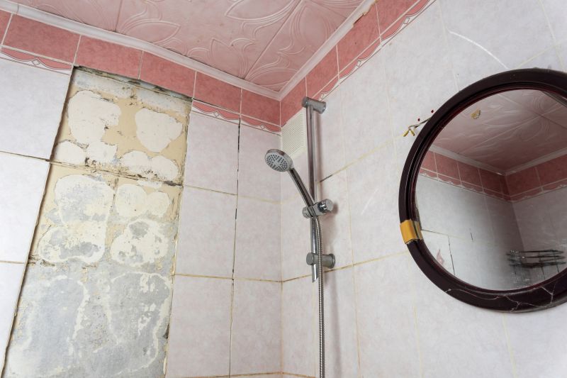 Shower Repair detail
