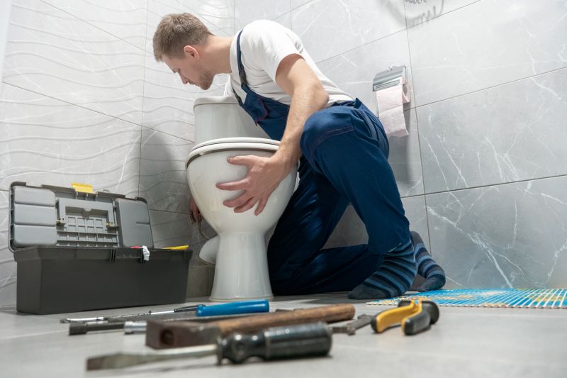 Toilet Repair detail